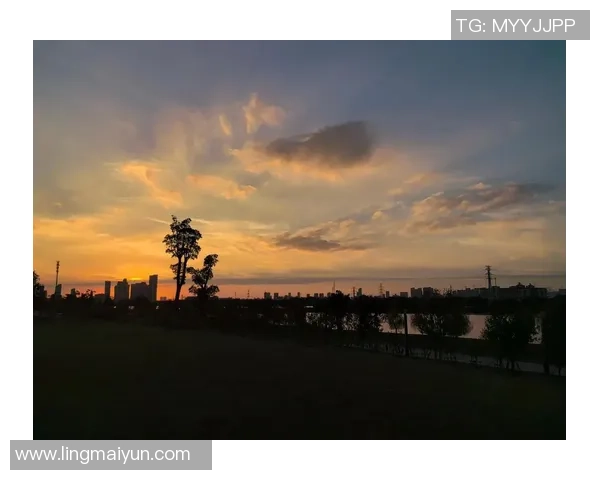 写点日子｜双轨竞逐，焰火藏情——我与秋霞的高光时间